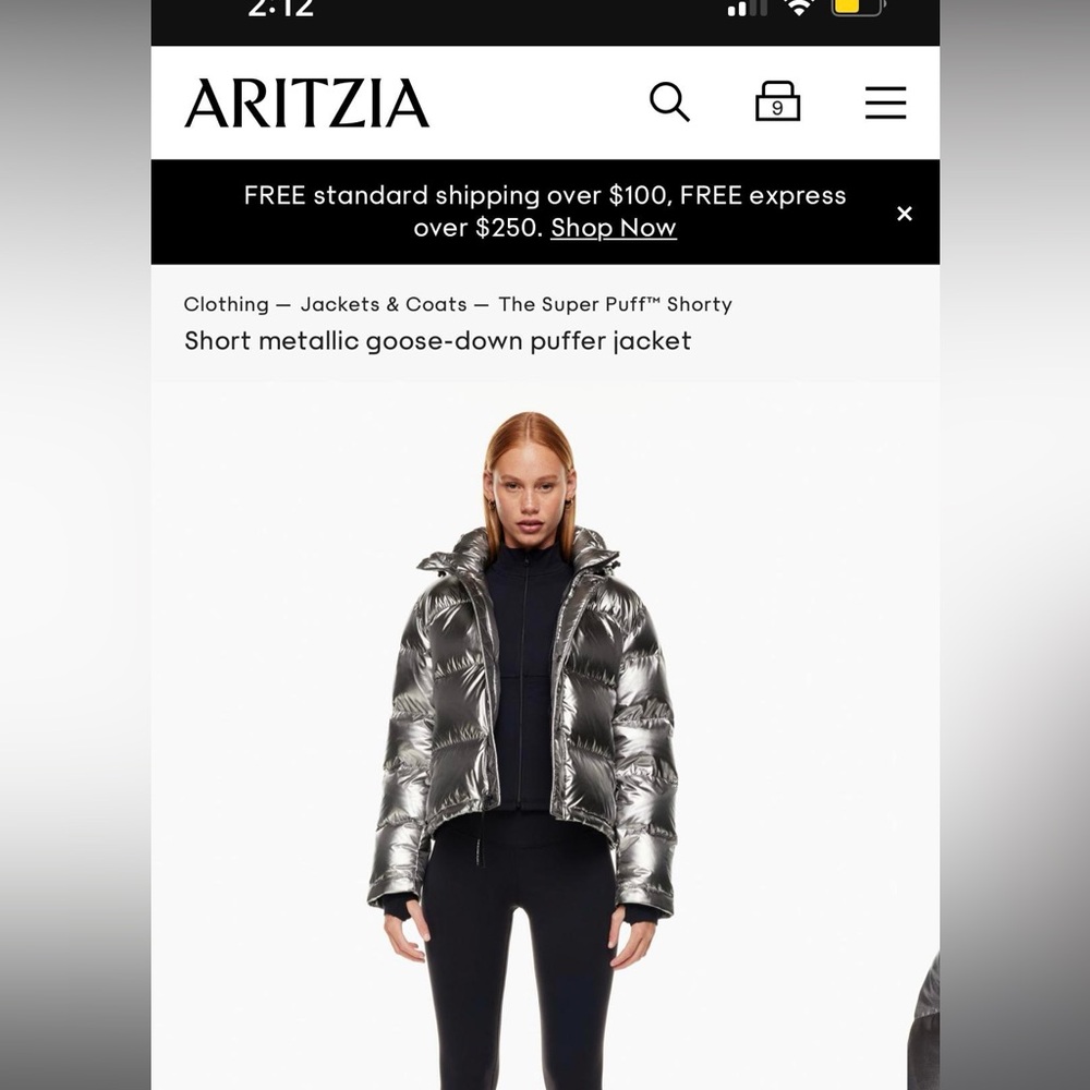 Aritzia Shorty Super Puff in Metallic Silver